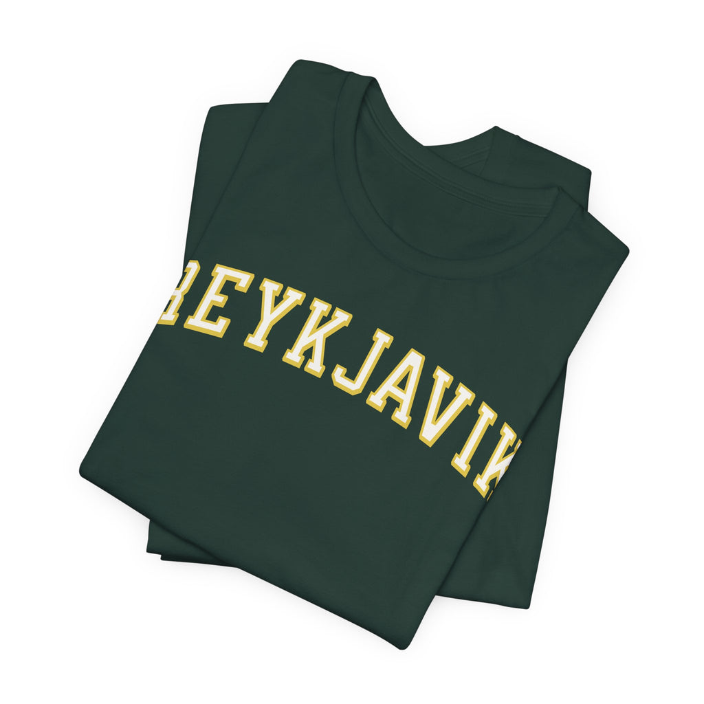 Reykjavik shirt