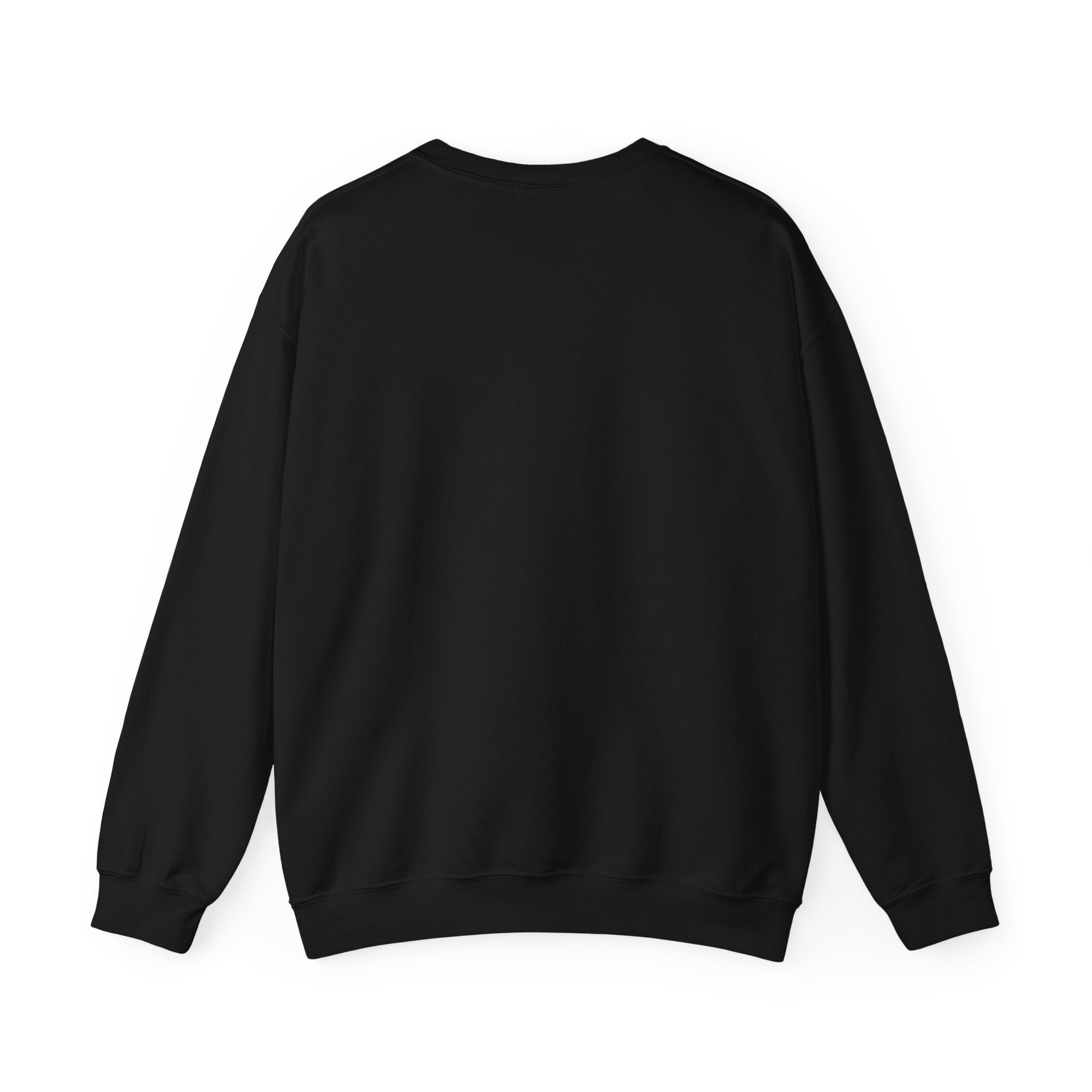 audiology sweater