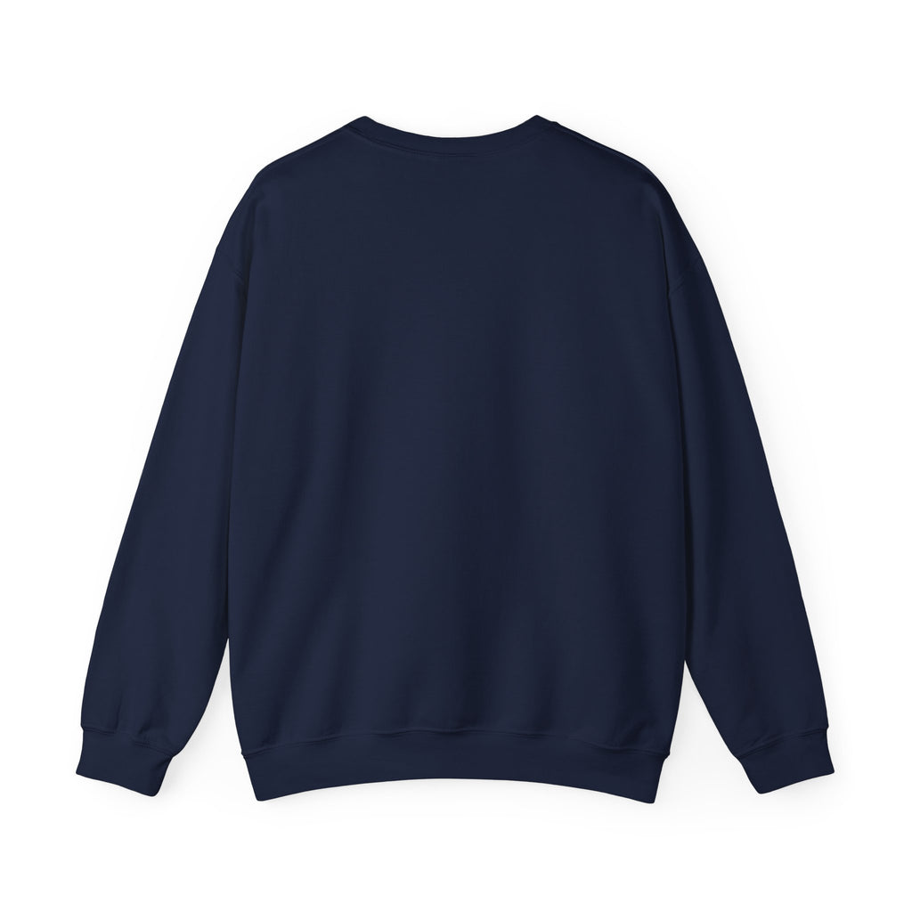 audiology sweater