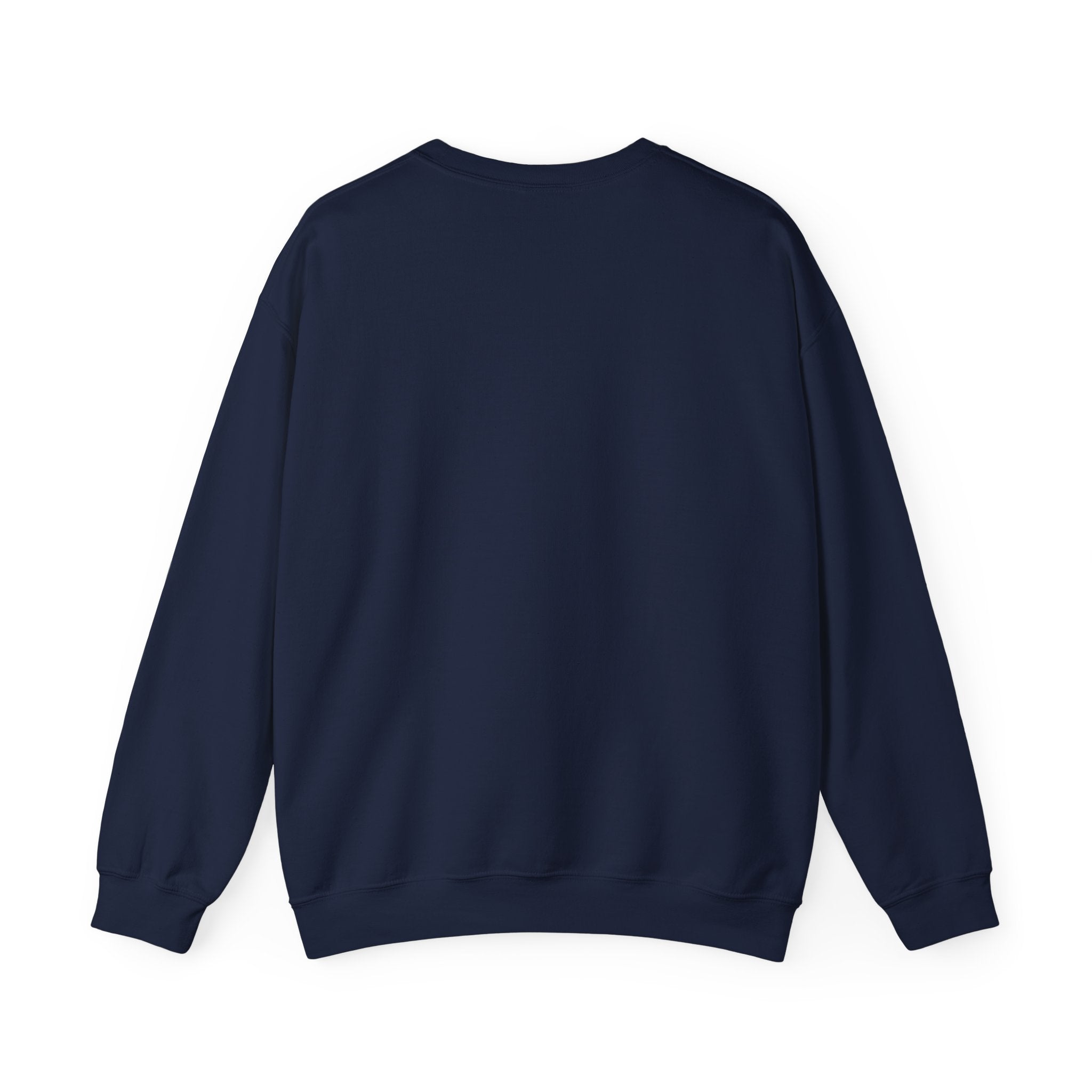audiology sweater