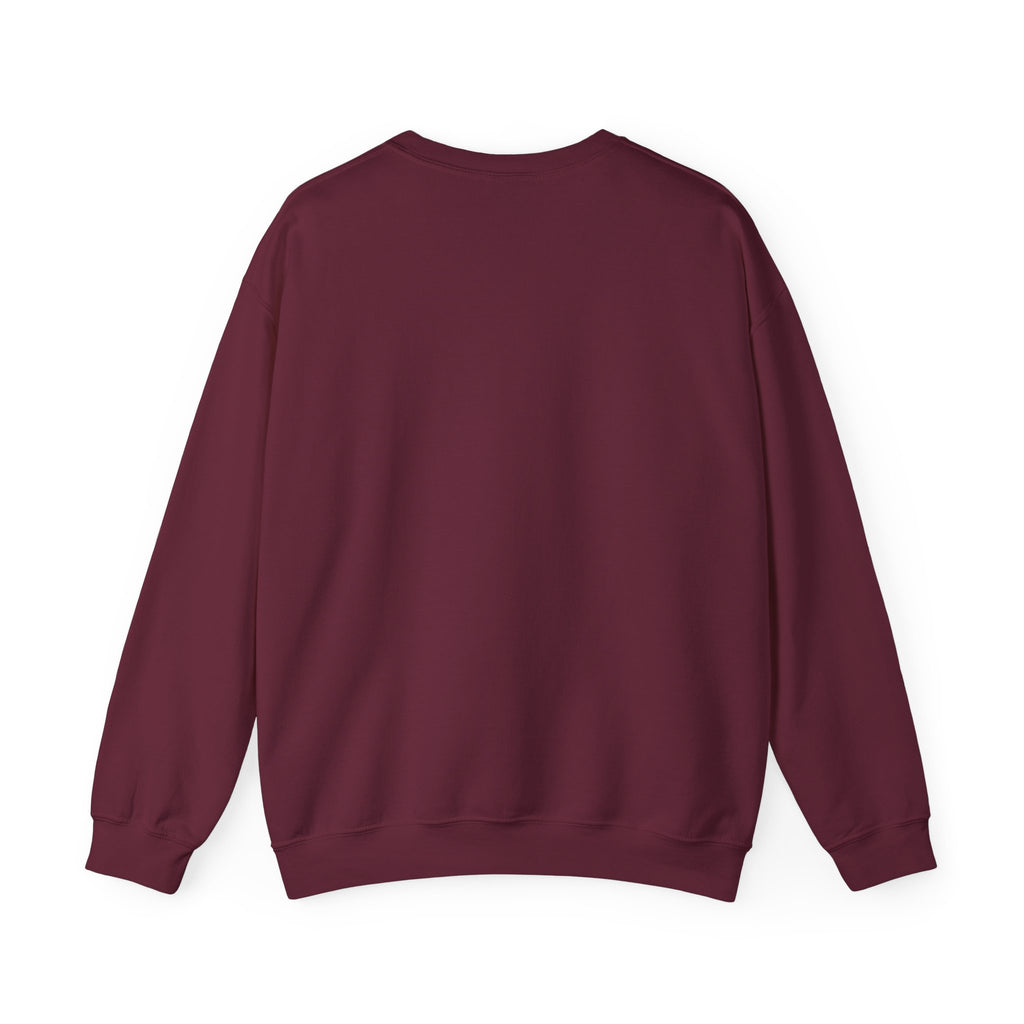 audiology sweater