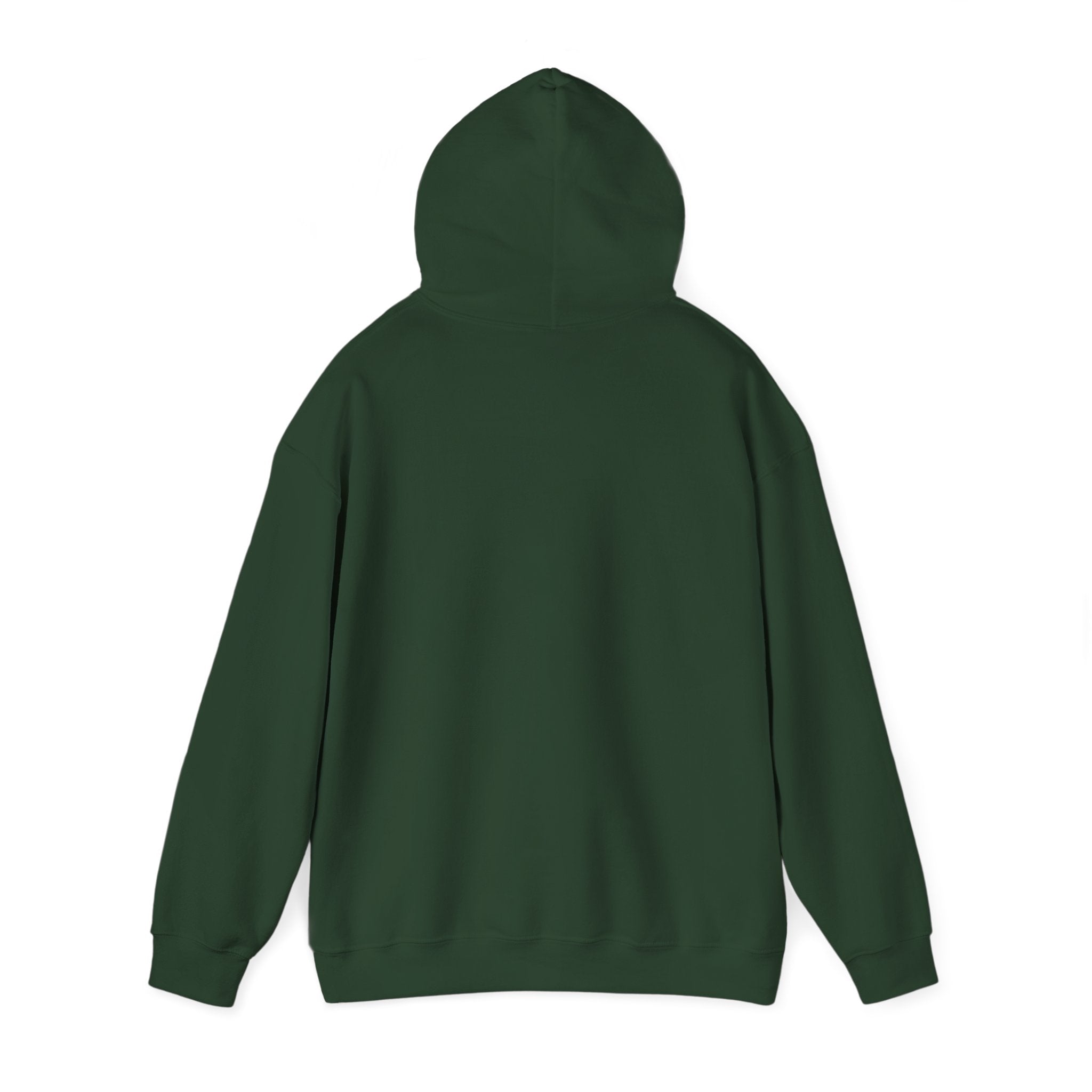 scotland hoodie, travel,