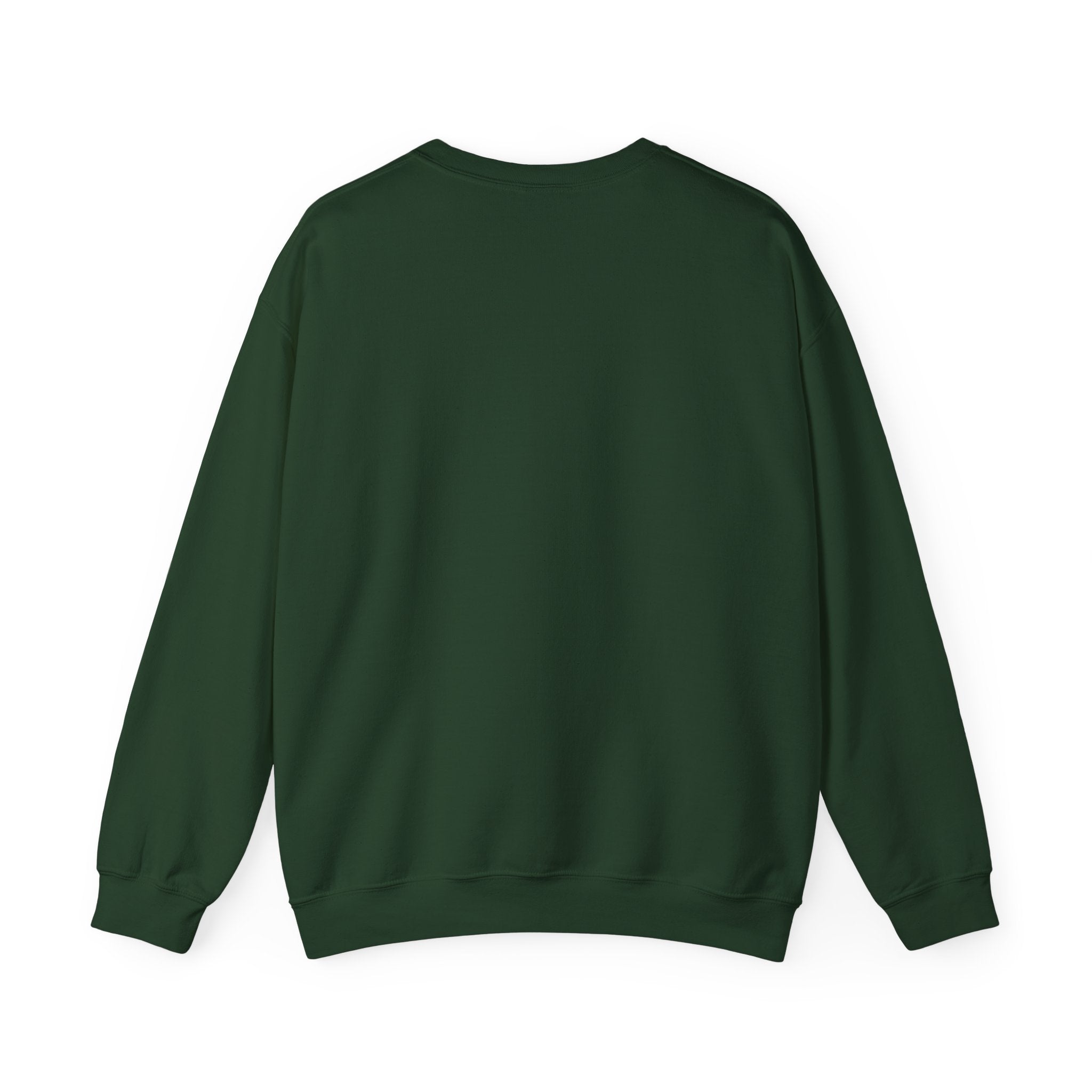 audiology sweater